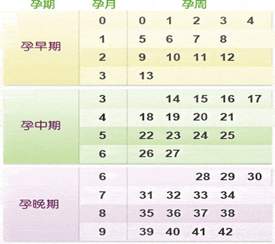 计算怀孕时间