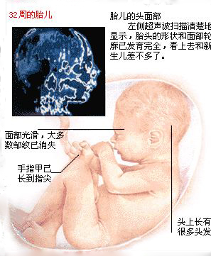 准妈妈怀孕8个月的胎儿长什么样了？