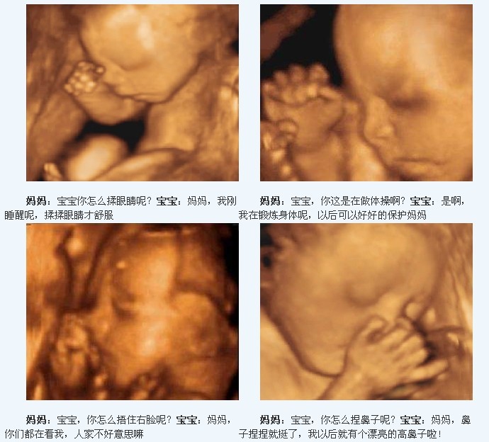 女性怀孕6个月胎儿发育怎样了？