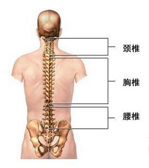 腰椎病患者