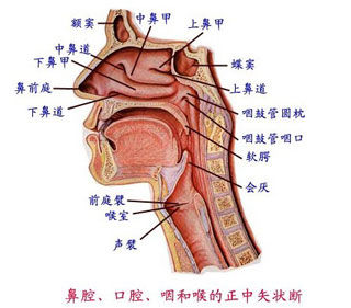 64-1306031K525507.jpg