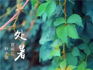 处暑至，秋乏来，最全养生攻略get起来！