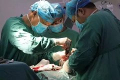 意外“爆腰”,回眸看他自由遛弯…没毛病!